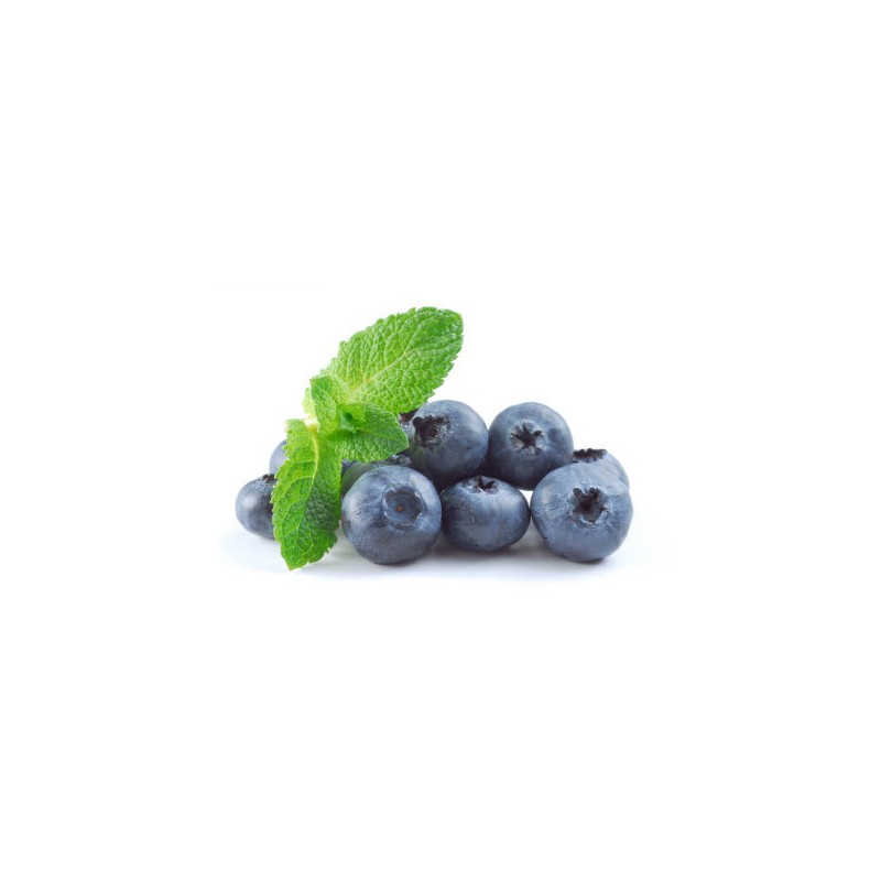 Blueberry Menthol 10ml