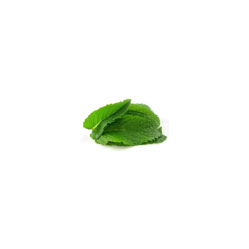Spearmint 10ml